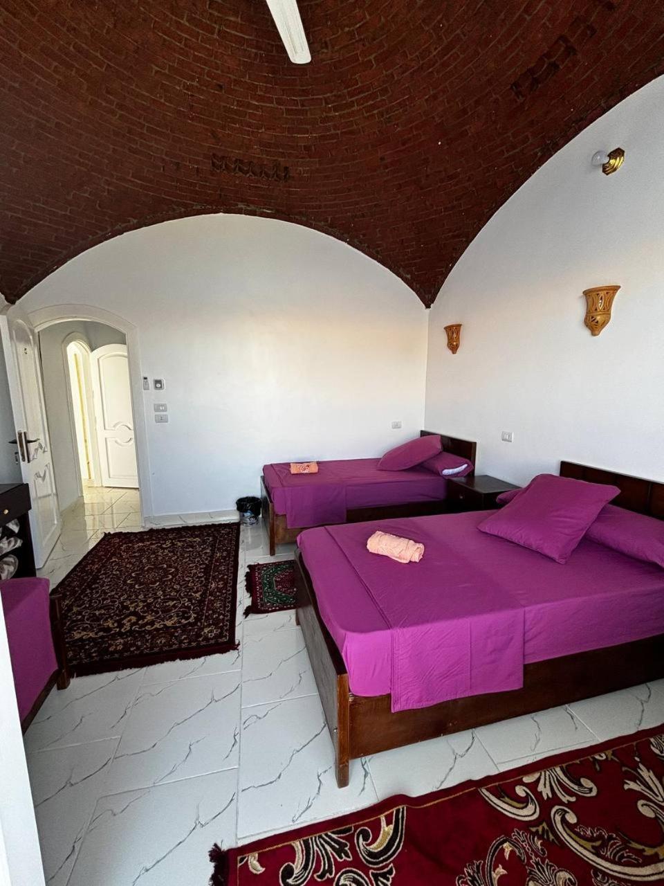 Nile View Guest House Aswan Buitenkant foto